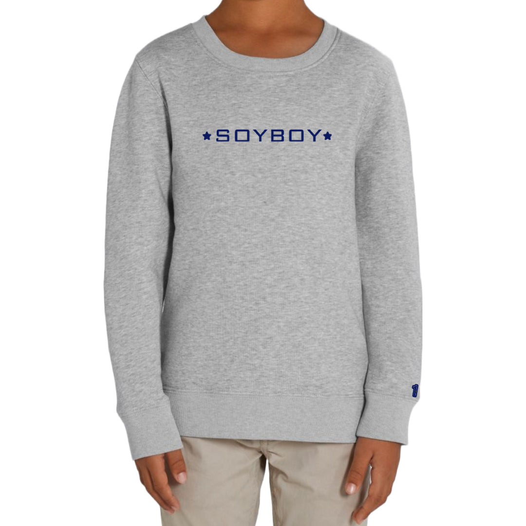 Sweater SOYBOY grijs/donkerblauw