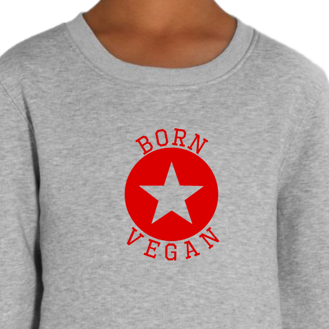 Sweater Born Vegan grijs/rood